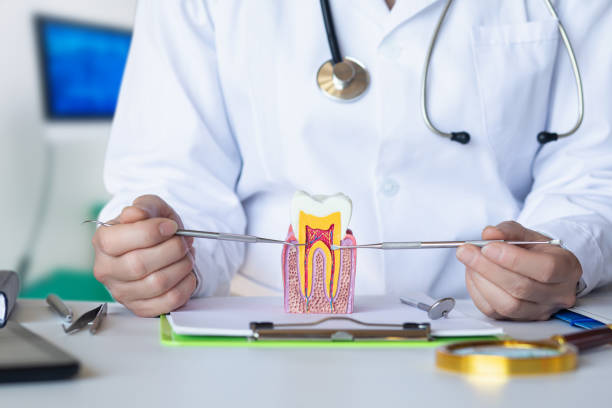 Best Emergency Dental Services for Seniors in Millbrook, AL